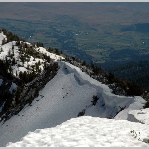 FIELDNOTES: I report on difference between SOUTH- & NORTH-facing slope