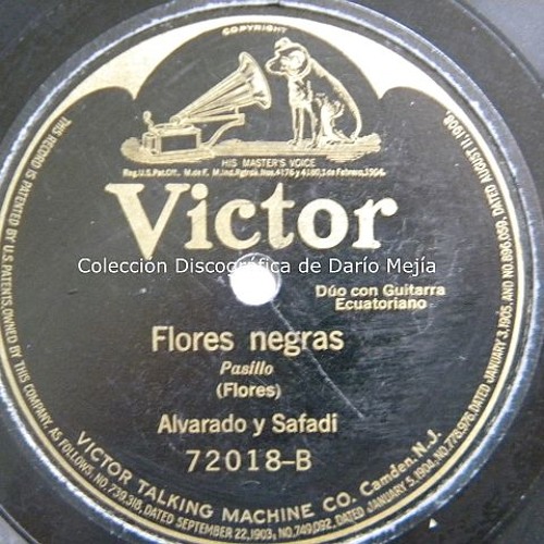 Stream Flores Negras - Alvarado y Safadi - Guayaquil 19 Octubre 1917 by  Dario Mejia | Listen online for free on SoundCloud