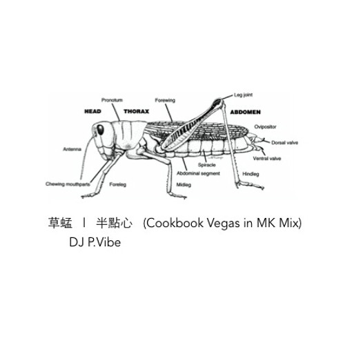 半點心 (Cookbook Vegas In MK Mix)   l   草蜢   l    P.Vibe