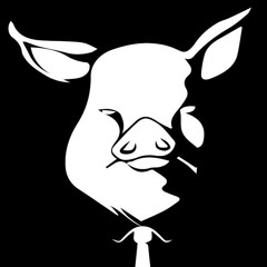 Boston Crusaders 2014 - Animal Farm
