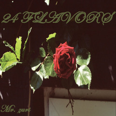 24 Flavors (Mr. Zuri) *Spacebound remix*