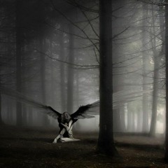 跌落凡間的天使 Cover