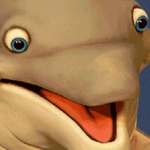 What Is My Porpoise?