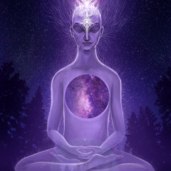 natural DMT trip through meditation etc. (JRE #561)