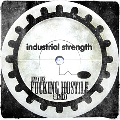 Lenny Dee - Fucking Hostile (Remix 230TEMPO)Preview