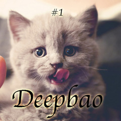 Deepbao #1