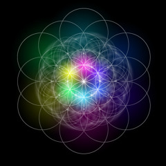 Pink Mist - Round Room (Improv)