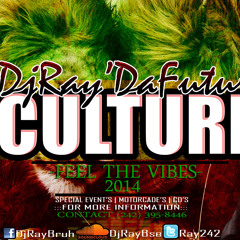 DJRAY'DAFUTURE CULTURE 2014 CD