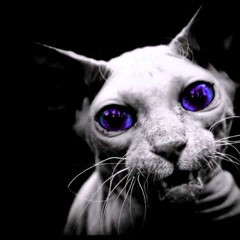 Highcosmos - Progressive
