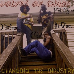 Wolves Of Chaos - CHANGING THE INDUSTRY