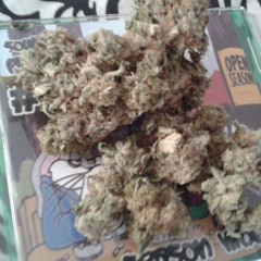 blacc widow cover Ctg ft Rg2 hook wrte by ctg