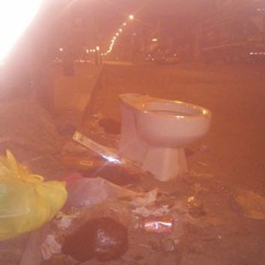 Basurales - Mi novia se fue por el retrete