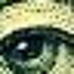 Cook it remix check it out