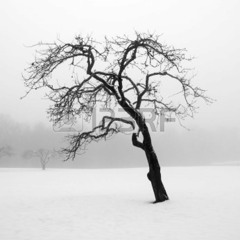 Snowstorm [Original Track]