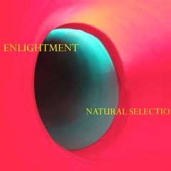 Natural Selection