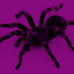 So Slowed - Neu Releases For the Week of October 19th