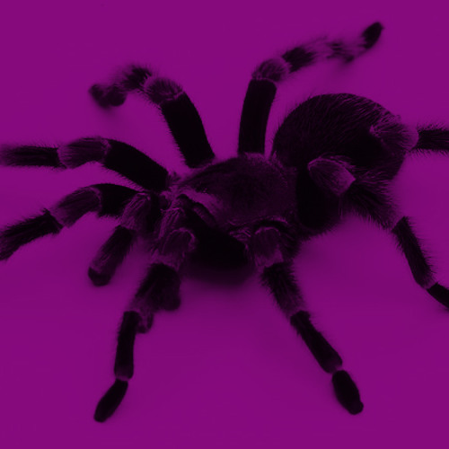 So Slowed - Neu Releases For the Week of October 19th