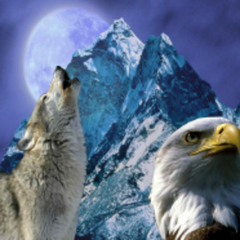 4 - Veli v. Get'O Koira & Assile G (prod. LOBO)