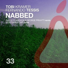 Tobi Kramer & Fernando Tessis - Nabbed (Wolfgang Lohr Remix)