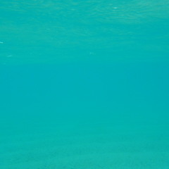 im thinking about it