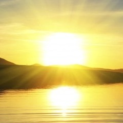 New Rise