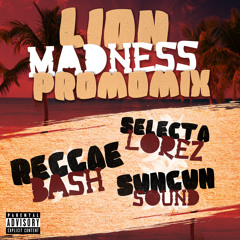 Lion Madness Promomix 2014 by Reggae Bash Intl, Selecta Lorez & Sungun Sound #FreeDownload