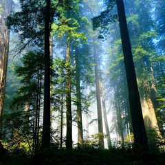 Sun to Storm(sons 2014)