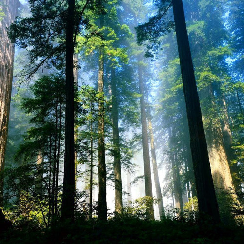 Sun to Storm(sons 2014)