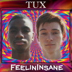 TUX - FeelinInsane (Prod.by SamJordan)