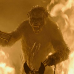 Berserker vs banzai vs Psyniestro      Terrorist Monkeys-
