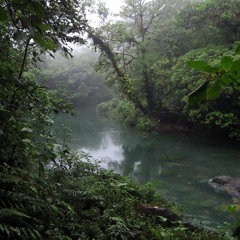 pololos - friendzone en vivo, rancho folclorico, feria del buen vivir