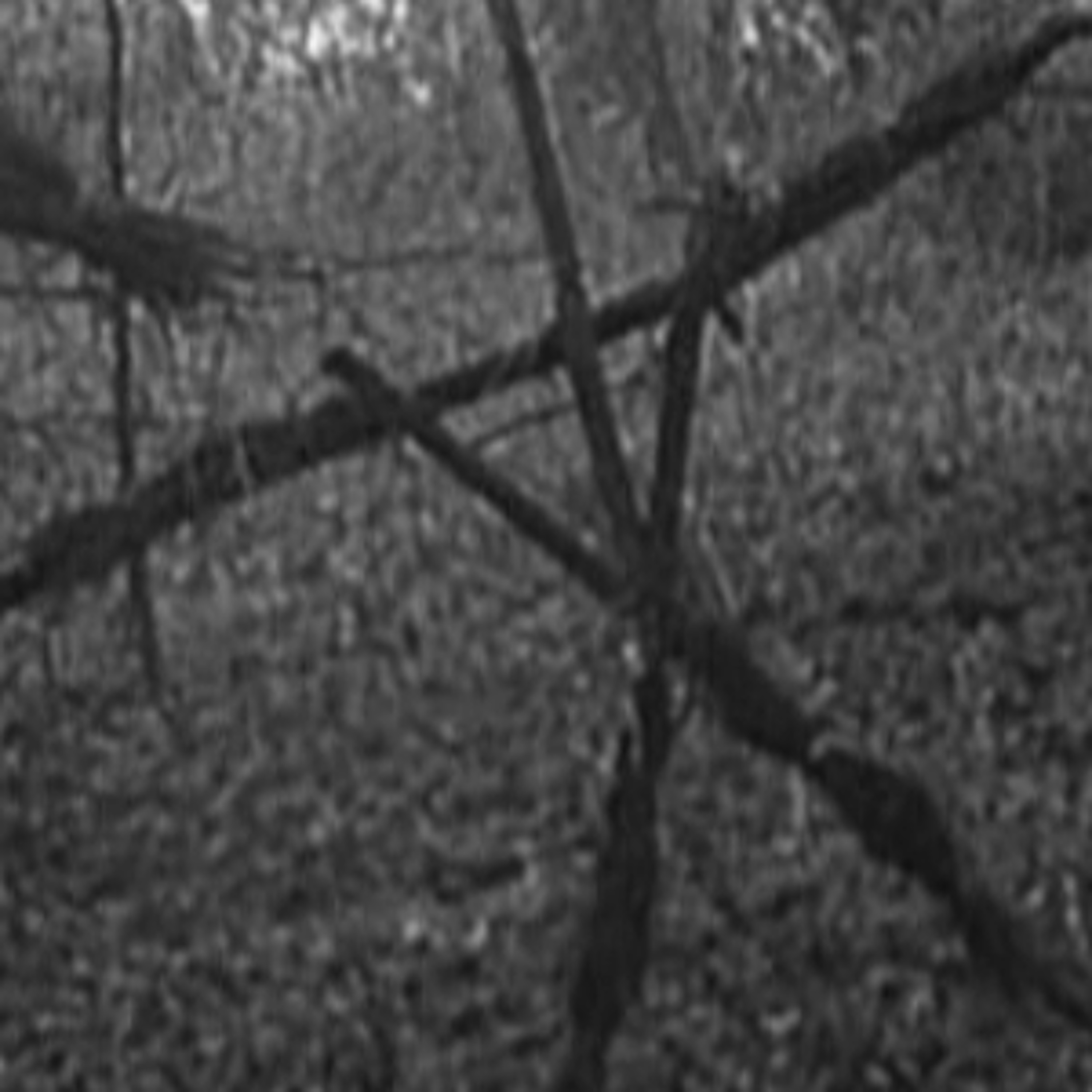 Blairwitch Armada episode artwork