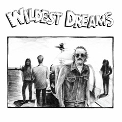 Wildest Dreams / Last Ride