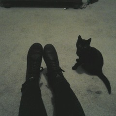 Last Scene (lighting dims)