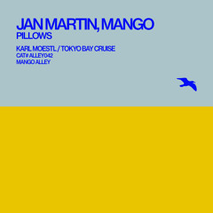 JAN MARTIN, MANGO Pillows (Mango Version)