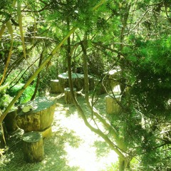 Edu Imbernon - At Dawn (Original Mix)