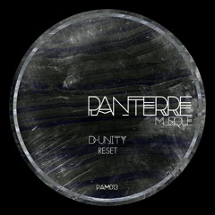 PAM013 : D-Unity - Reset (Original Mix)