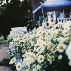 لَه مَا فيْ السموات والأرْض ،