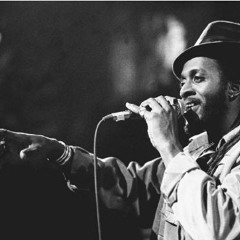 Ini Kamoze - World A Reggae (Botz Remix)