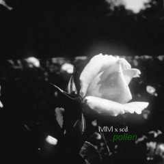 Mom's Flowers