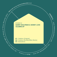 Harry Wolfman & Skinny Love -  Celebre (The Revenge Remix)