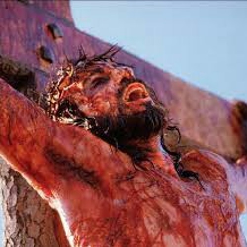 قسمة - ايها الابن الوحيد - لايف - القس اندرو فيليب