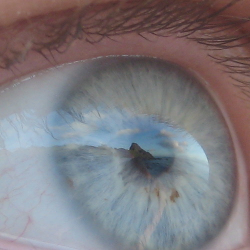 tomorrow's epiphany - Sonnet 18 - free download