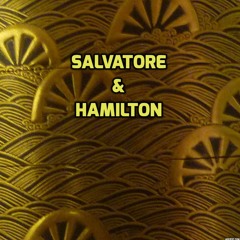 - H S - Salvatore & Hamilton Collaborations