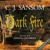 Artwork for Dark Fire (Unabridged) - C. J. Sansom