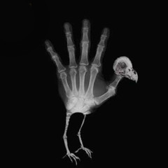 L-7alal Men Deeny - الحلال من دينى