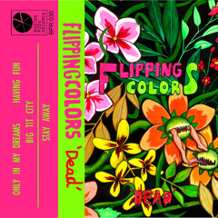 Flipping Colors - Only In My Dreams