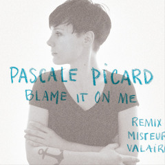 Pascal Picard - Blame It On Me (remix by Misteur Valaire)