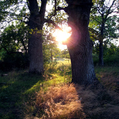 Founk Of My phounkness