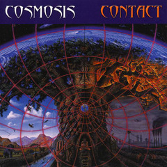 Find Your Own Divinity - Cosmosis